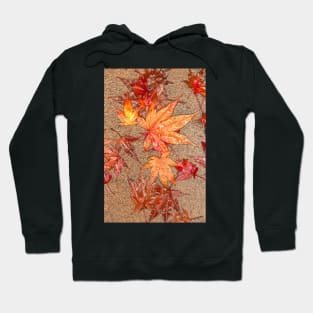 Maple Leaves Hoodie